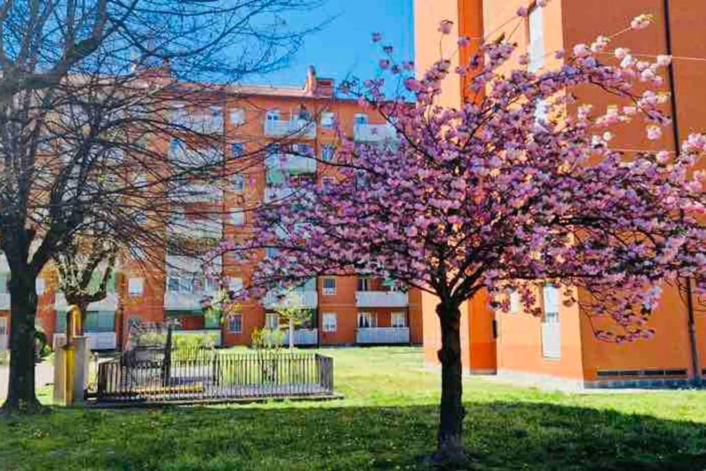 Appartement Fk House